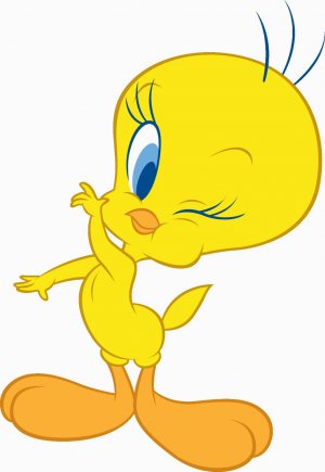 Tweety mi? Sylvester mı?