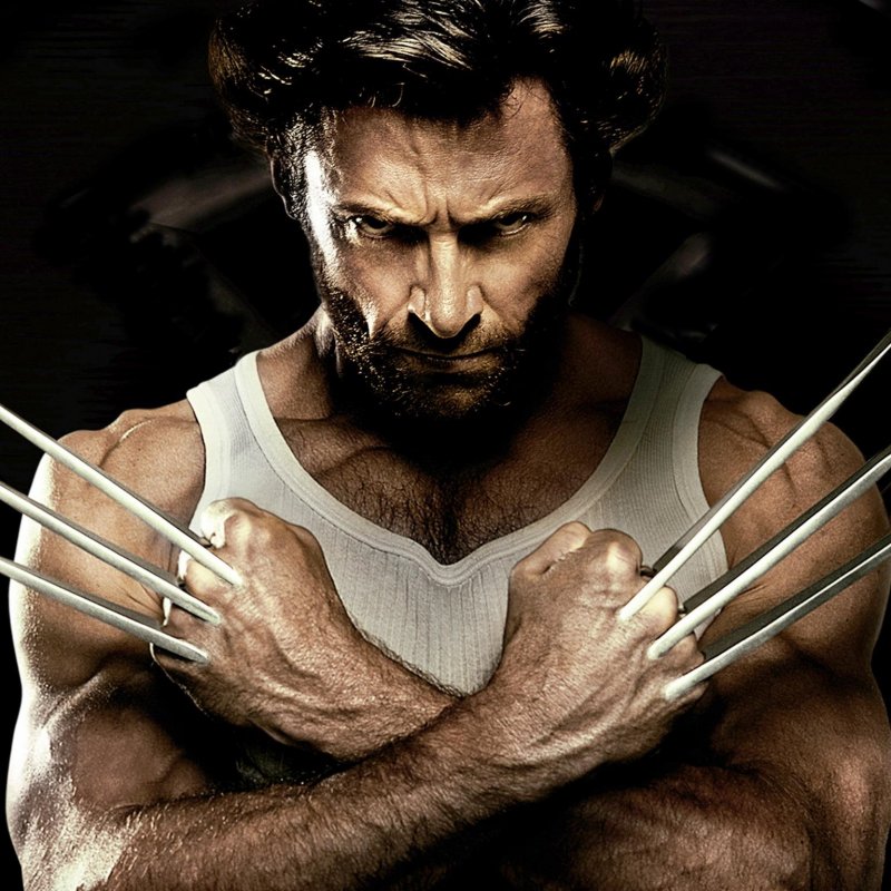 Wolverine