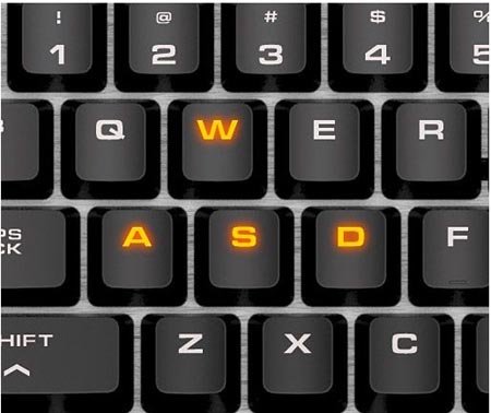 WASD